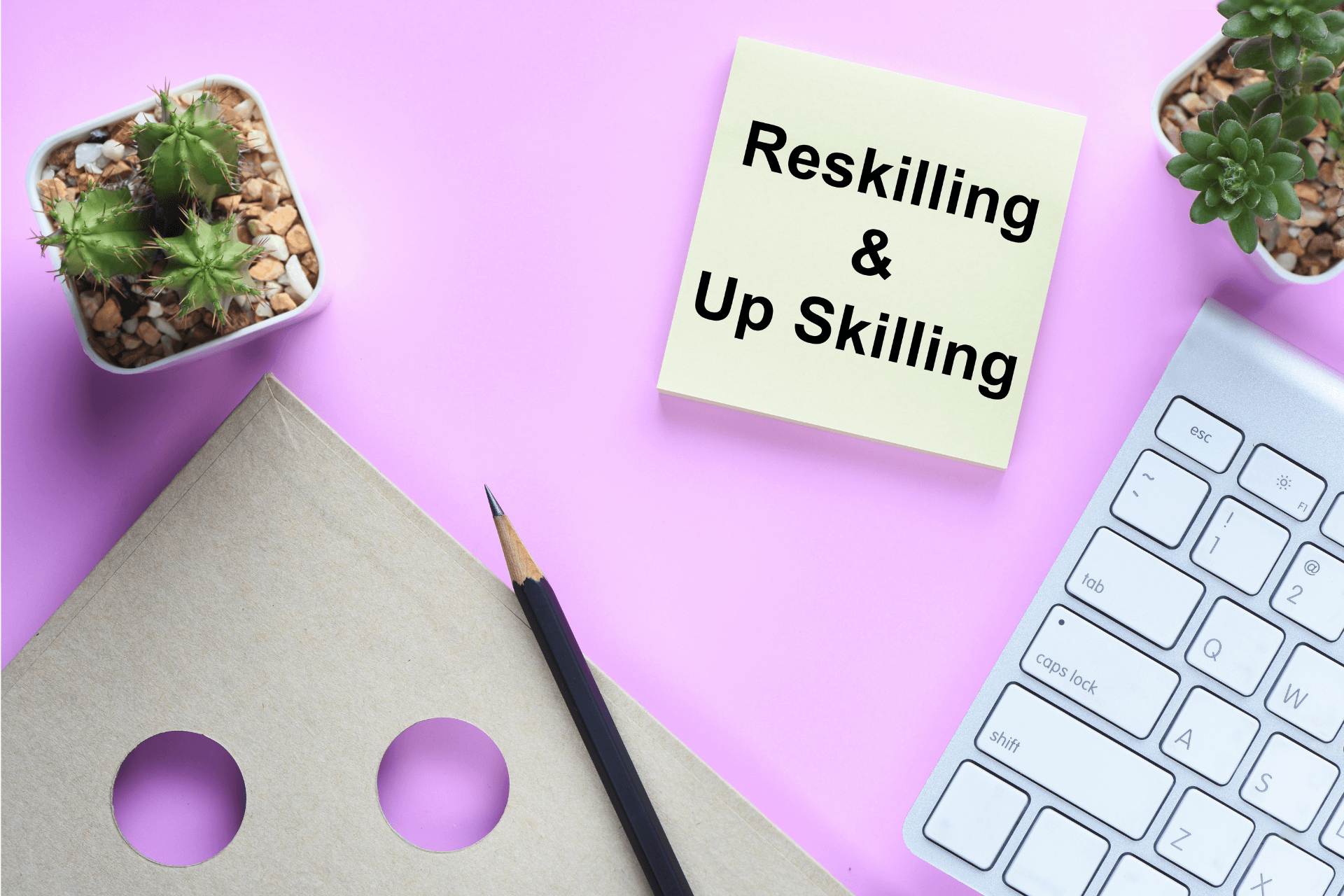 Upskilling and Reskilling: Empowering Companies for Success